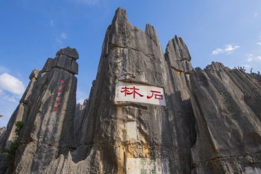 Stone Forest ya da Shilin, Shilin Scenic Park, Shilin County, Kunming, Yunnan, Çin 'deki Stone' a kazınmış iki Çinli karakter. Shilin, Güney Çin 'in bir parçasıdır. Karst, Dünya Mirası olarak kayıtlıdır.. 