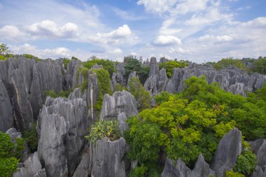 Taş Ormanı ya da Shilin, Çin 'in Yunnan kentindeki Kunming şehrinin Shilin ilçesinde bulunan bir kireçtaşı oluşumudur. Shilin, Güney Çin Karst 'ın bir parçasıdır ve UNESCO Dünya Mirası olarak kayıtlıdır.. 