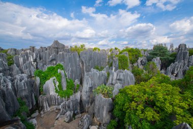 Taş Ormanı ya da Shilin, Çin 'in Yunnan kentindeki Kunming şehrinin Shilin ilçesinde bulunan bir kireçtaşı oluşumudur. Shilin, Güney Çin Karst 'ın bir parçasıdır ve UNESCO Dünya Mirası olarak kayıtlıdır.. 