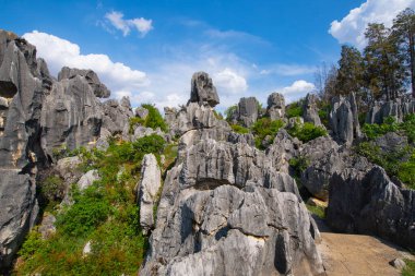 Taş Ormanı ya da Shilin, Çin 'in Yunnan kentindeki Kunming şehrinin Shilin ilçesinde bulunan bir kireçtaşı oluşumudur. Shilin, Güney Çin Karst 'ın bir parçasıdır ve UNESCO Dünya Mirası olarak kayıtlıdır.. 