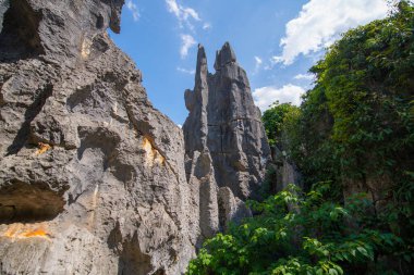Taş Ormanı ya da Shilin, Çin 'in Yunnan kentindeki Kunming şehrinin Shilin ilçesinde bulunan bir kireçtaşı oluşumudur. Shilin, Güney Çin Karst 'ın bir parçasıdır ve UNESCO Dünya Mirası olarak kayıtlıdır.. 