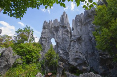 Stone Forest or Shilin is a set of limestone formation located in Shilin County, Kunming City, Yunnan, China. Shilin is a part of South China Karst registered as UNESCO World Heritage Site.  clipart