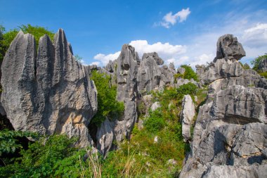 Taş Ormanı ya da Shilin, Çin 'in Yunnan kentindeki Kunming şehrinin Shilin ilçesinde bulunan bir kireçtaşı oluşumudur. Shilin, Güney Çin Karst 'ın bir parçasıdır ve UNESCO Dünya Mirası olarak kayıtlıdır.. 