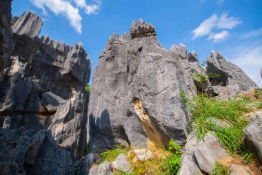 Taş Ormanı ya da Shilin, Çin 'in Yunnan kentindeki Kunming şehrinin Shilin ilçesinde bulunan bir kireçtaşı oluşumudur. Shilin, Güney Çin Karst 'ın bir parçasıdır ve UNESCO Dünya Mirası olarak kayıtlıdır.. 