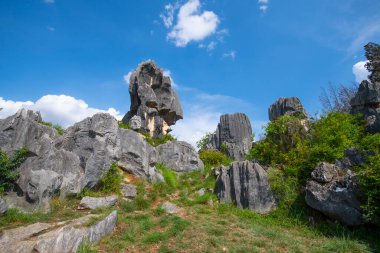 Stone Forest or Shilin is a set of limestone formation located in Shilin County, Kunming City, Yunnan, China. Shilin is a part of South China Karst registered as UNESCO World Heritage Site.  clipart