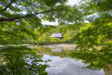 Ryoan Ji Tapınağı 'ndan Kyoyochi Gölü. Bu tapınak Japonya 'nın tarihi Kyoto şehrinde bir Zen Budist tapınağıdır. Bu tapınak Antik Kyoto UNESCO Dünya Mirası Alanına ait.. 