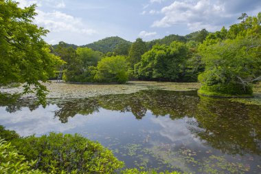 Ryoan Ji Tapınağı 'ndan Kyoyochi Gölü. Bu tapınak Japonya 'nın tarihi Kyoto şehrinde bir Zen Budist tapınağıdır. Bu tapınak Antik Kyoto UNESCO Dünya Mirası Alanına ait.. 
