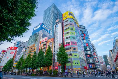 Japonya 'nın Chiyoda bölgesindeki Chuo-dori Bulvarı' ndaki Akihabara Elektrik Kasabası.. 