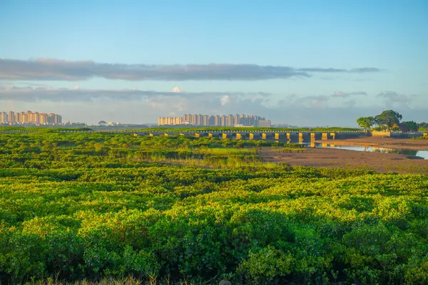 Luoyang Köprüsü nam-ı diğer Wan 'an Köprüsü 1000 yıl önce Çin' in Fujian kentindeki Quanzhou şehrinde inşa edilmiş bir yaya köprüsü. Bu köprü Quanzhou Song Yuan UNESCO Dünya Mirası Alanıdır.. 