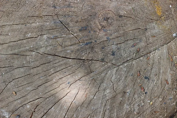 Stare Pęknięte Tekstury Drewniane — Zdjęcie stockowe