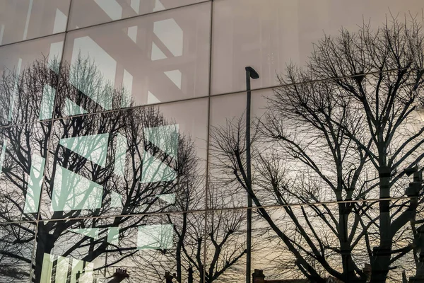 近代的な建物の窓に裸の木の枝の反射 鏡窓の裸の木の枝の反射と建物のガラス張りの壁 選択的な焦点 — ストック写真