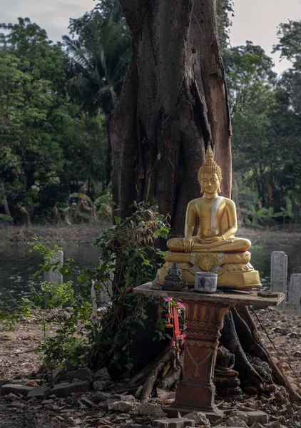 Estátua Buda Ouro Postura Meditativa Sob Fundo Árvore Grande Espaço — Fotografia de Stock
