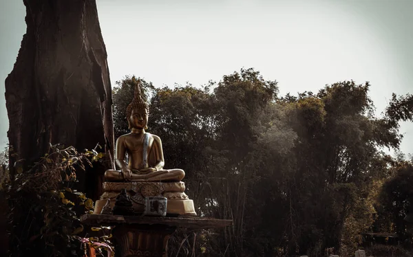 Golden Buddha Statue Meditative Posture Big Tree Background Space Text — Stock Photo, Image