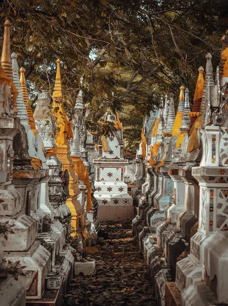 Nakhon Pathom Tailândia Novembro 2022 Chedi Contendo Para Cinzas Ósseas — Fotografia de Stock