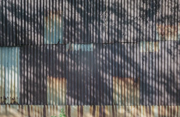 木々や葉を通して輝く明るい太陽の影が美しく輝く古いと錆びた亜鉛板の壁の芸術 家のフェンス テキストのためのスペース 選択的フォーカスを作るために使用される古い錆亜鉛メッキシートの腐食 — ストック写真