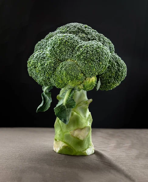 Frische Grüne Farbe Brokkoli Auf Schwarzem Hintergrund Gesunde Ernährung Kopierraum — Stockfoto