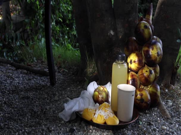 Przekąski Zrobione Palmy Grochowej Leżą Pod Drzewem Ogrodzie Tort Palmowy — Wideo stockowe