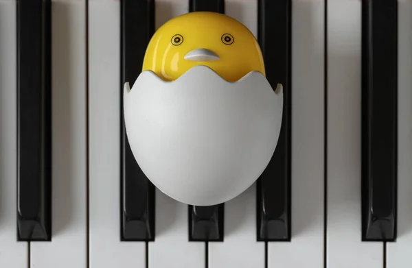 Baby chick cartoon sitting in broken egg on the Piano Keyboard. Yellow cute chicken hatching from egg, Space for text, Selective focus.
