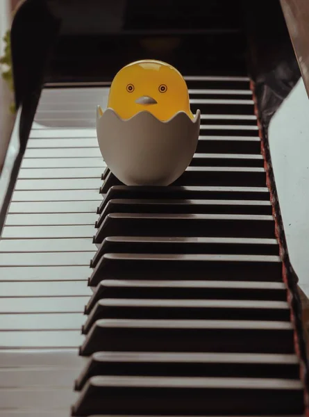 Baby chick cartoon sitting in broken egg stand on the Piano Keyboard. Yellow cute chicken hatching from egg, Space for text, Selective focus.