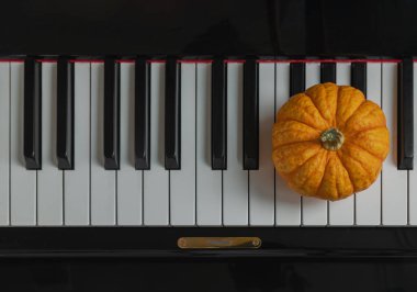 Piyano klavyesinde tek bir taze turuncu balkabağı duruyor. Cadılar Bayramı konsepti, metin için boşluk, seçici odak.