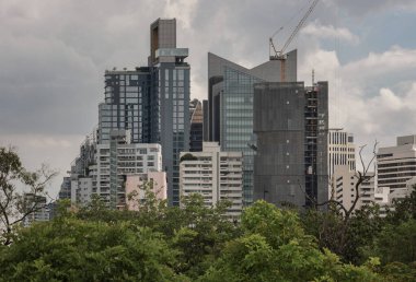 Bangkok, Tayland - 22 Haziran 2024 - Gökyüzü arka planındaki modern yüksek binaların mimarisi. Gökdelenlerin ve yeşil alanların resimli görünümü, metin için boşluk, Seçici odak.