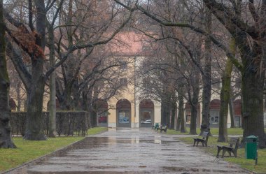 Münih, Almanya - 22 Aralık 2023 - Arka planda Hofgartenarkaden binasının bulunduğu yağmurlu bir günde Münih Konutu 'nun bahçesindeki ahşap banklar ve ağaçlar. Avrupa mimari yapısının tasarım ögeleri, metin için alan, Seçici odak.