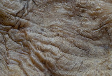 Balık Maw Çorbası veya Kurutulmuş Balık Midesi (Kurutulmuş Balık Mesanesi). Çin yemeği, sağlıklı beslenme tarzı konsepti, yazı alanı, seçici odak.