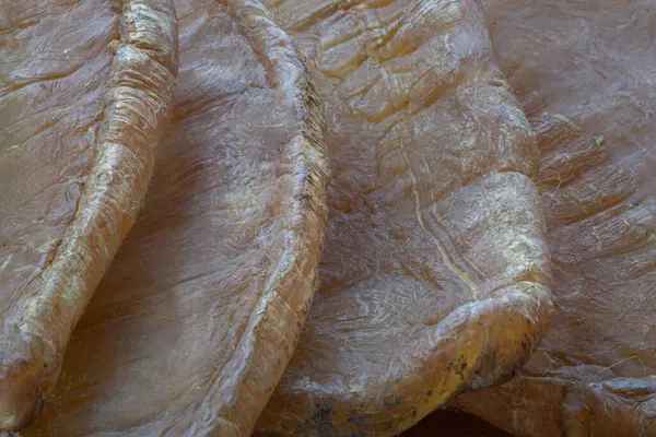 Balık Maw Çorbası veya Kurutulmuş Balık Midesi (Kurutulmuş Balık Mesanesi). Çin yemeği, sağlıklı beslenme tarzı konsepti, yazı alanı, seçici odak.