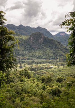 İnanılmaz yeşil ağaçlar ve güneş ışığı bulutları ve gökyüzü arkaplanı olan dağlar. Doğal yaz manzarası, metin için boşluk, seçici odak.