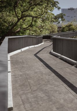 Bangkok, Tayland - 19 Şubat 2022 - Demiryolu ile Yükseltilmiş Yürüyüşün Perspektif Manzarası, Central Forest Park 'taki (Benjakitti Park) çevreleyen yeşil ağaçlar arasındaki mesafeye kadar uzanır. Gökyüzü yürüyüşü