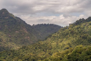 İnanılmaz yeşil ağaçlar ve güneş ışığı bulutları ve gökyüzü arkaplanı olan dağlar. Doğal yaz manzarası, bunu metin, seçici odak için duvar kağıdı, poster ve boşluk olarak kullanın.