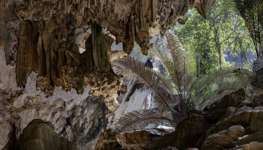 Uthai Thani, Thailand - 06 Dec, 2024 - Looking out to see the green palm trees in natural light from The old limestone cave with stalactites and stalagmites at Ancient forest Hup Pa Tat. The famous travel destinations in the Central Valley Uthai Than clipart