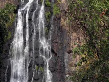 Sarika Şelalesi 'ndeki Tropikal Orman' ın dik yamaçlarından kayalardan ve taşlardan akan durağan şelale akıntısı Nakhon Nayok eyaletinin tarihi parkıdır..