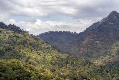 İnanılmaz yeşil ağaçlar ve güneş ışığı bulutları ve gökyüzü arkaplanı olan dağlar. Doğal yaz manzarası, bunu metin, seçici odak için duvar kağıdı, poster ve boşluk olarak kullanın.