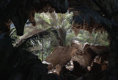 Uthai Thani, Thailand - 06 Dec, 2024 - Looking out to see the green palm trees in natural light from The old limestone cave with stalactites and stalagmites at Ancient forest Hup Pa Tat. The famous travel destinations in the Central Valley Uthai Than clipart