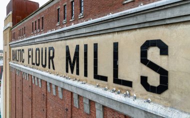 Balistik FLour MILLS harflerinin yan görüntüsü. Orijinal harflerin korunması, binanın tarihiyle ilişkisinin eski bir un değirmeninden dönüştüğünü gösteriyor. Baltık Çağdaş Sanatlar Merkezi 'nin duvarına yuva yapmış martılar.