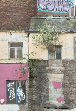 Newcastle, İngiltere - 14 Nisan 2025 - Tuğla duvarda büyüyen ağaçlar ve eski binanın duvar ve camlarında grafiti olan ahşap pencere çerçeveleri. Crosstreet 'teki Kard Bar' ın Newcastle 'ın merkezinde ne yazık ki yandıktan sonra, mesaj için yer açıldı..
