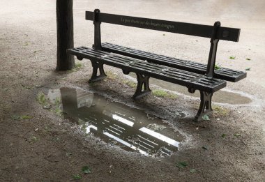 Fransa, Paris - Mayıs 03, 2025 - Palais Royal Garden 'da (Jardin du Palais Royal) siyah demirden yapılmış boş bir bank, ağaçların gölgesinin altındaki Benches bahçesi ve yağmurdan sonraki su birikintisine yansıyan bir yansıma. Duvar kağıdı, poster ve boşluk olarak kullan.