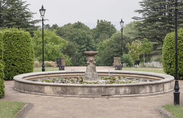 Alexandra Sarayı Bahçeleri 'nde bir çeşme. Resmî Gül Bahçesi 'nin içinde. Lotus havuzunda duran Ardea Cinerea veya Grey Heron, metin için duvar kağıdı, poster ve boşluk, seçici odak olarak kullanın.