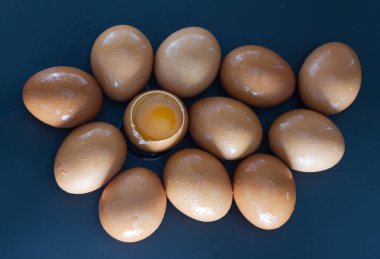 Koyu arkaplanda taze tavuk yumurtası (Tavuk yumurtası) arasında kırılmış çiğ tavuk yumurtası ile yumurta sarısının üst görüntüsü. Sağlıklı yiyecekler için doğal organik taze yumurtalar, bunu metin, tasarım, duvar kağıdı ve poster için alan olarak kullanın, seçici odak noktası.