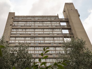 Trellick Kulesi, özgün estetik ve statüsüyle, özgün olarak hem kendi içinde hem de dıştan ayırt edici bir şekilde açık bırakılan ham beton yüzeylerin (bton brut) kullanımı ile karakterize edilen Brutalist mimarinin önemli bir örneği olarak tanınmaktadır..