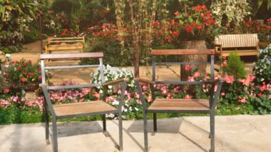 İki boş ahşap sandalye çiçek bahçesinde sallanan çiçeklerle birlikte..