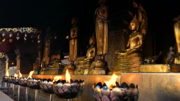 Віддані Буддисти Запалюють Свічки Або Олійні Лампи Щоб Поклонятися Золотій — стокове відео
