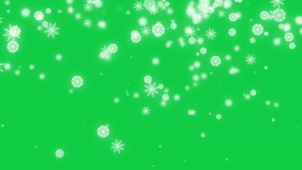 白色雪花的粒子动画 雪晶脱落装饰冬季隔离在彩色键绿色屏幕背景上 用于覆盖运动图形 — 图库视频影像