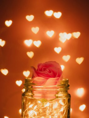 Üzerinde sıcak ışık ve pembe gül bulunan cam kavanoz, koyu arka planda parlayan parlak kalp şeklindeki defocus bokeh ışığı Sevgililer Günü için ışıl ışıl süsleme. romantik aşk ilişkisi konsepti