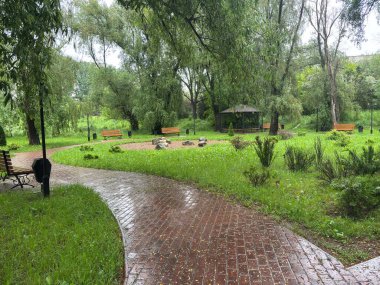 Bulutlu bir günde yağmurdan sonra bir park. Islak bir kırmızı tuğla yolu yemyeşil ağaçlar ve çimenler arasında süzülür. Arka planda banklar ve bir çardak görülebilir.. 
