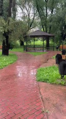 Bulutlu bir günde yağmurdan sonra bir park. Islak bir kırmızı tuğla yolu yemyeşil ağaçlar ve çimenler arasında süzülür. Arka planda banklar ve bir çardak görülebilir.. 