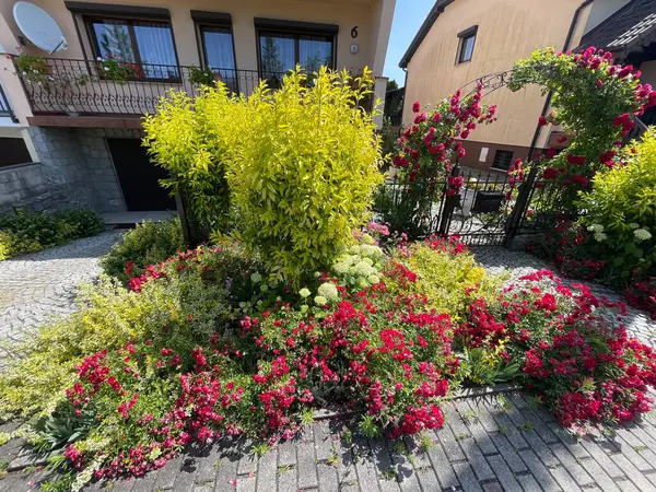 Rengarenk çiçek tarlaları ve süslü çalılarla çevrili işlenmiş demir kemerin üzerinden geçen kırmızı güllerle güzelce döşenmiş ön bahçe..