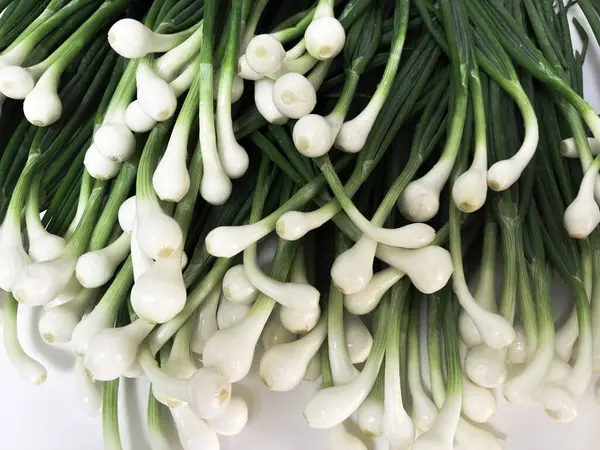 Yığınla taze taze soğan, beyaz ampuller ve yeşil saplar. Gevrek ve canlı yeşil soğanlar yemek, sağlıklı beslenme ve organik pazar temaları için mükemmel. Tazelik ve dokuyu ön plana çıkaran yakın çekim..