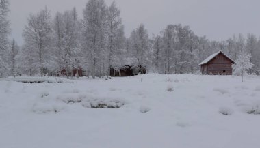 Wooden buildings on the edge of a snowy forest on a cloudy winter day